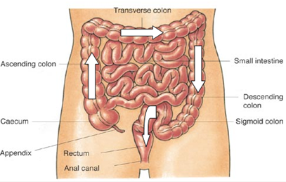 abdominal massage