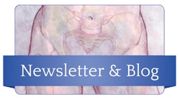 Pamela Morrison Physical Therapy, P.C. Newsletter & Blog